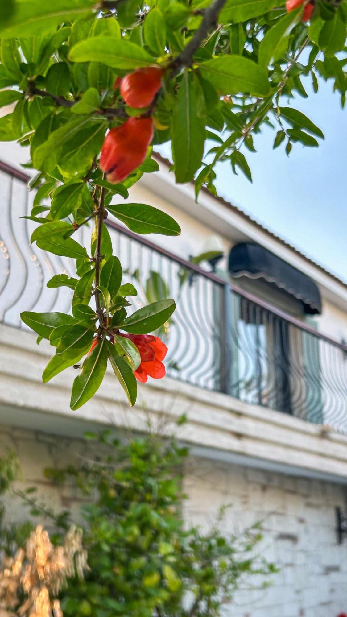 N Hotels Cesme Dalyankoy  ภายนอก รูปภาพ