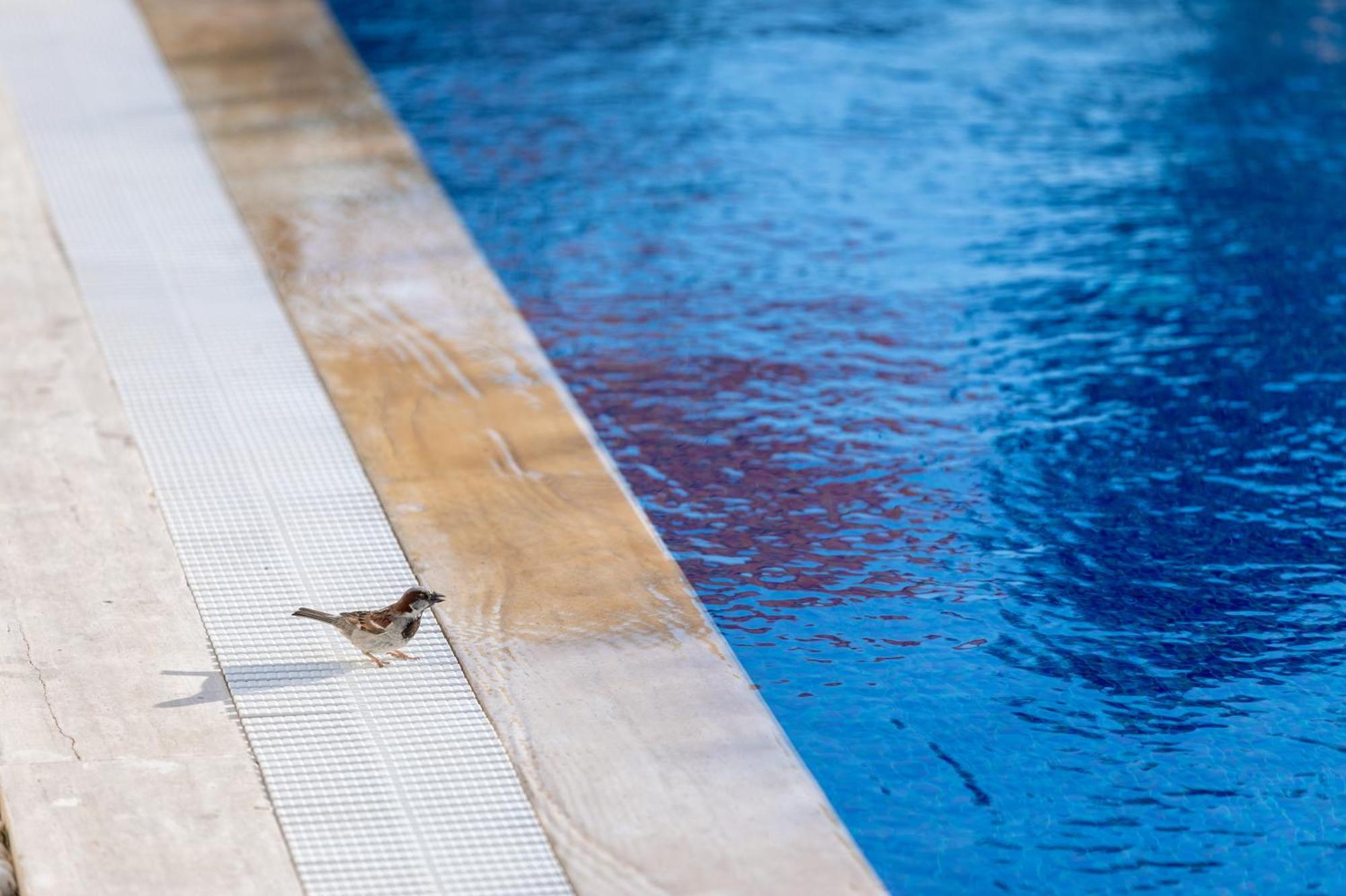 N Hotels Cesme Dalyankoy  ภายนอก รูปภาพ